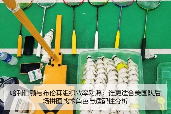ha-li-bo-dun-yu-bu-lun-sen-zu-zhi-xiao-lv-dui-zhao-shui-geng-shi-he-mei-guo-dui-hou-chang-pin-tu-zhan-shu-jue-se-yu-shi-2-903.jpg