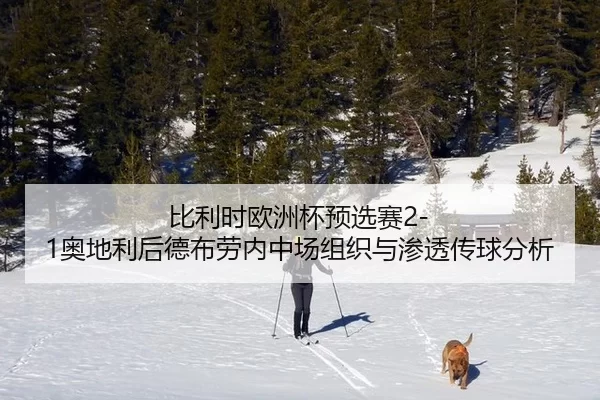 比利时欧洲杯预选赛2-1奥地利后德布劳内中场组织与渗透传球分析